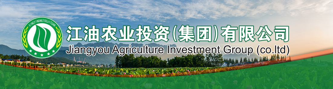 2024澳门原料网大全