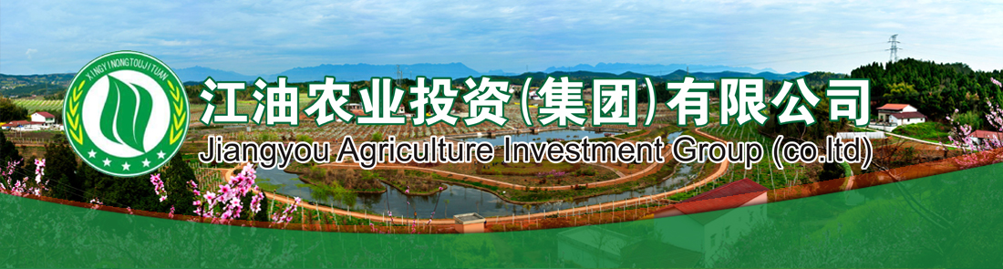 2024澳门原料网大全