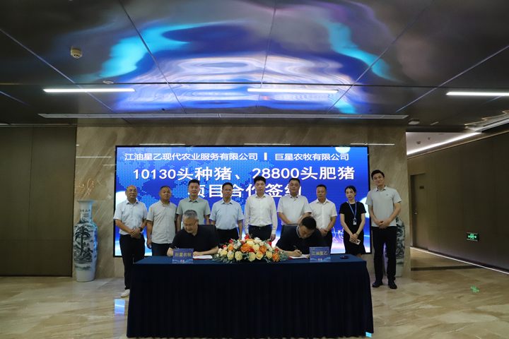 2024澳门原料网大全